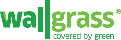 Wallgrass